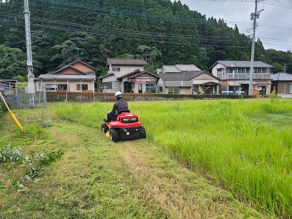 除草作業