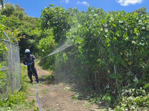除草剤散布